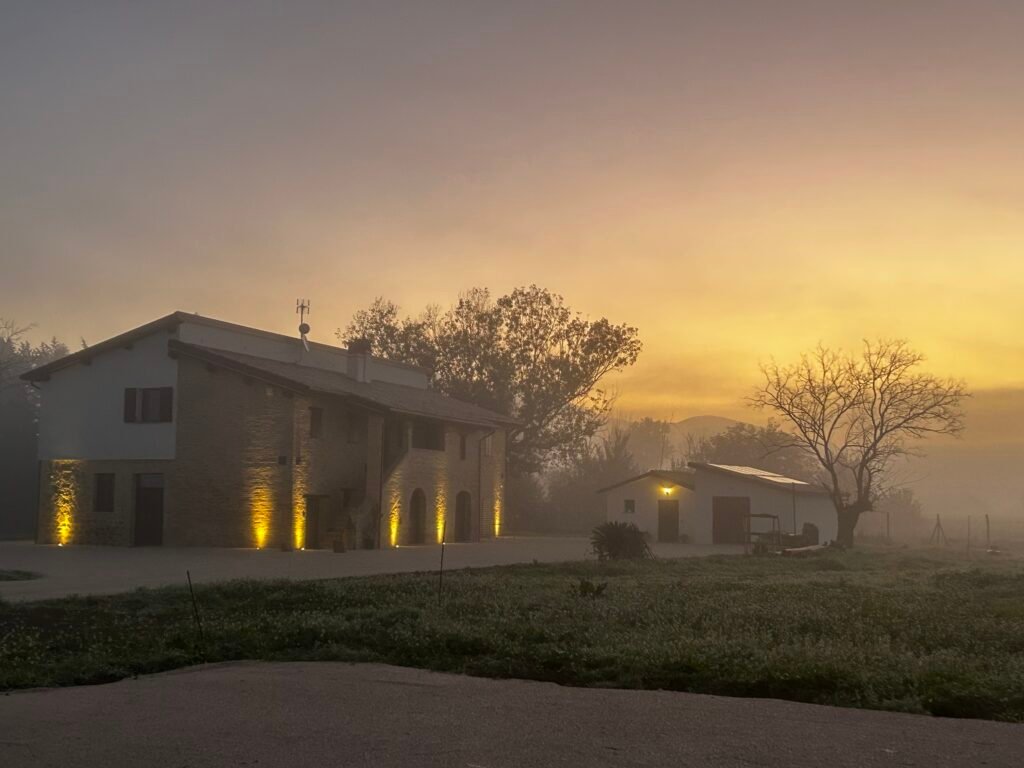 Prenotazioni Essentia Assisi - Disponibilità camere