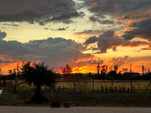 Essenzia Assisi B&B - Esterno Tramonto