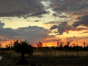Essenzia Assisi B&B - Esterno Tramonto