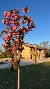 Essenzia Assisi B&B