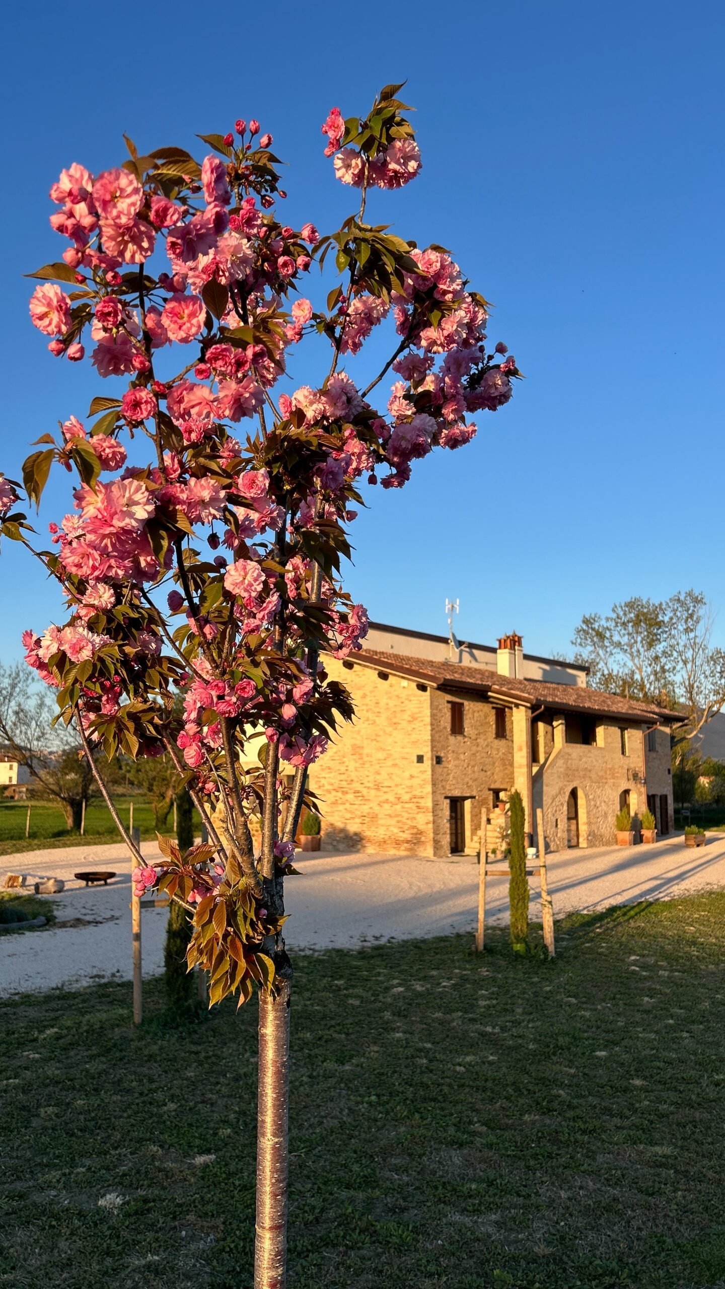 Essenzia Assisi B&B