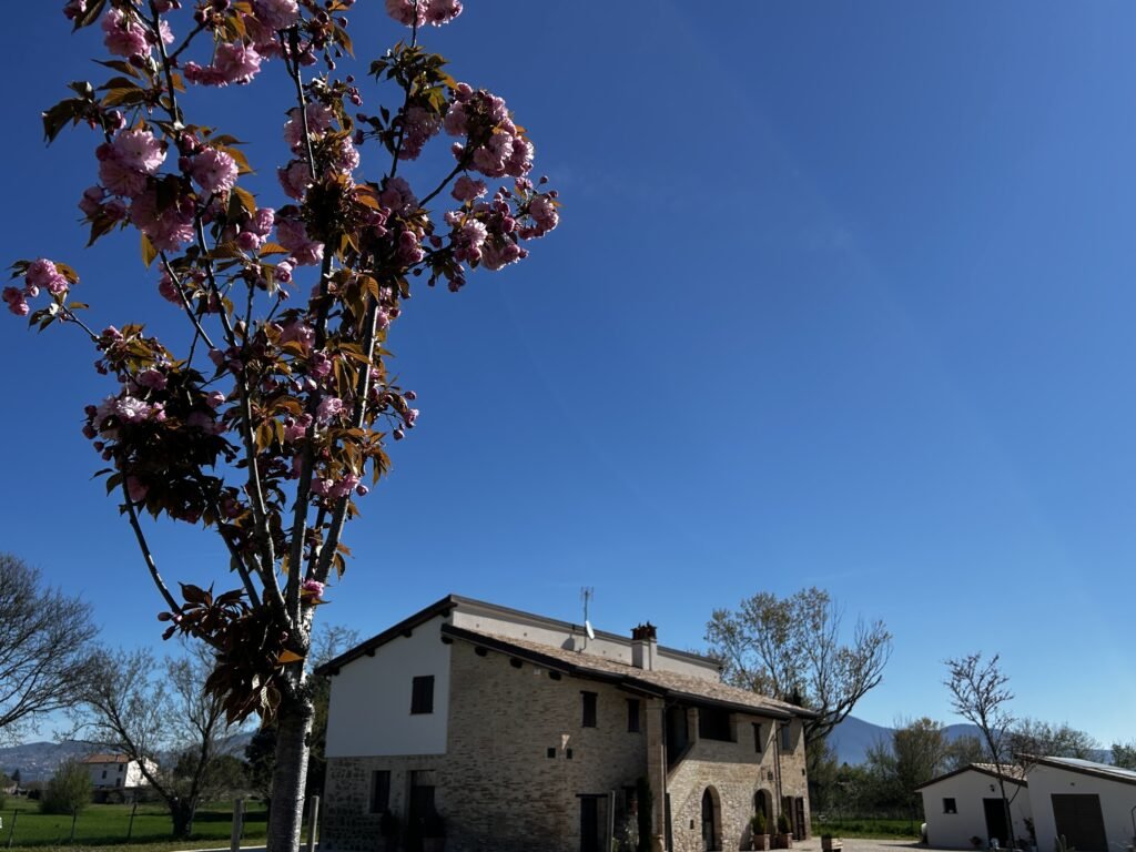 Cucina Essentia Assisi B&B - Le torte fatte in casa